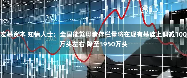 宏基资本 知情人士：全国能繁母猪存栏量将在现有基础上调减100万头左右 降至3950万头