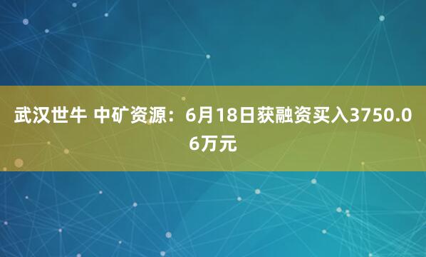 武汉世牛 中矿资源：6月18日获融资买入3750.06万元