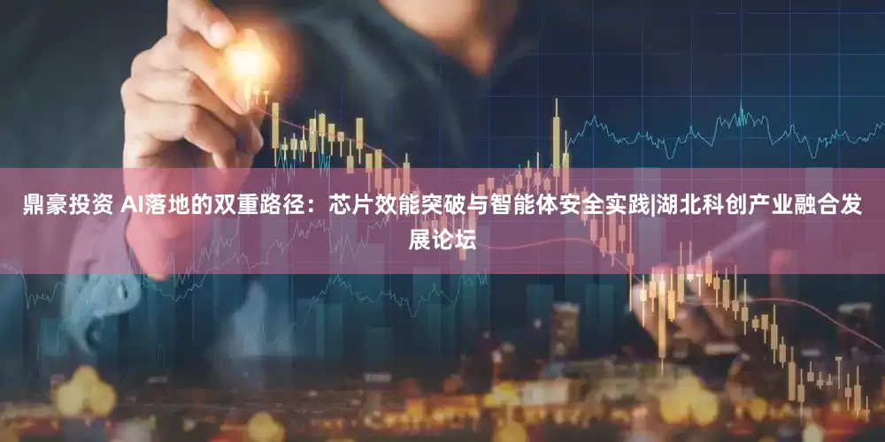 鼎豪投资 AI落地的双重路径：芯片效能突破与智能体安全实践|湖北科创产业融合发展论坛