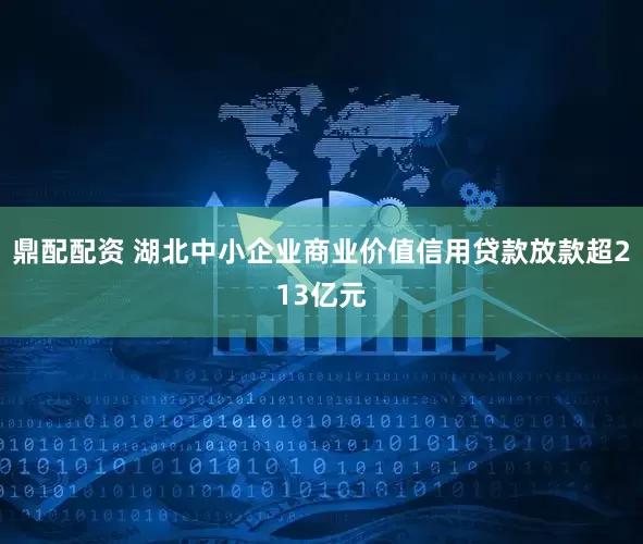 鼎配配资 湖北中小企业商业价值信用贷款放款超213亿元