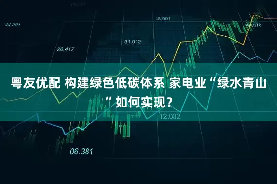 粤友优配 构建绿色低碳体系 家电业“绿水青山”如何实现？