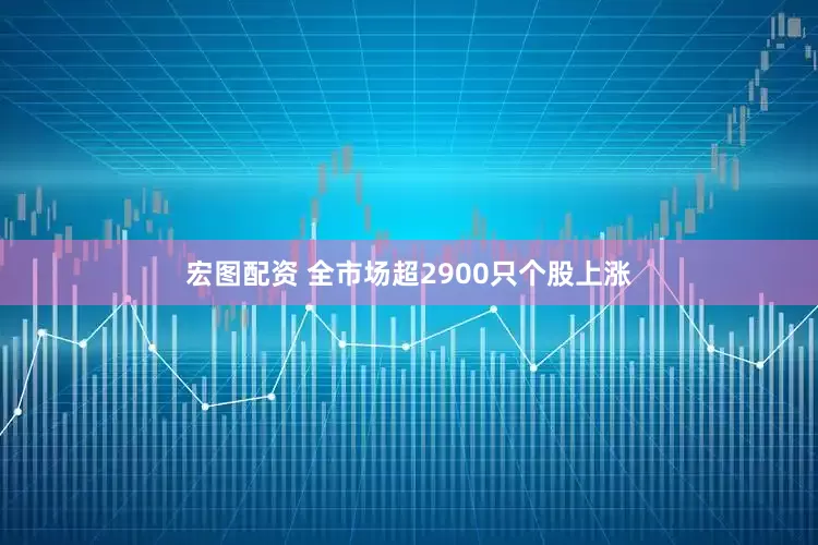 宏图配资 全市场超2900只个股上涨
