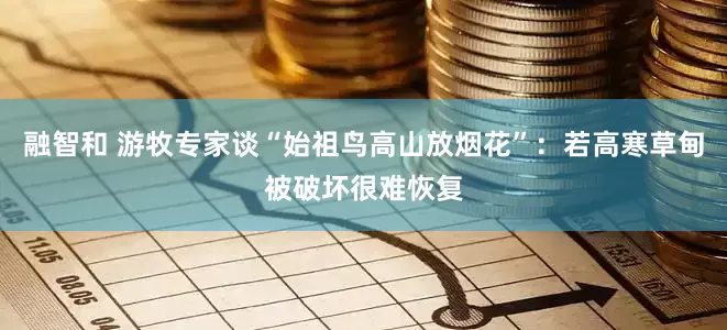 融智和 游牧专家谈“始祖鸟高山放烟花”：若高寒草甸被破坏很难恢复