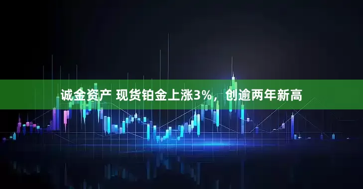 诚金资产 现货铂金上涨3%，创逾两年新高